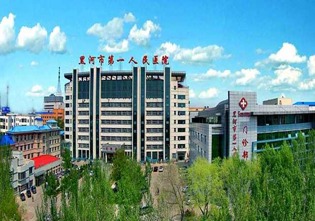  黑河市第一人民醫(yī)院和傳染病院變電所工程